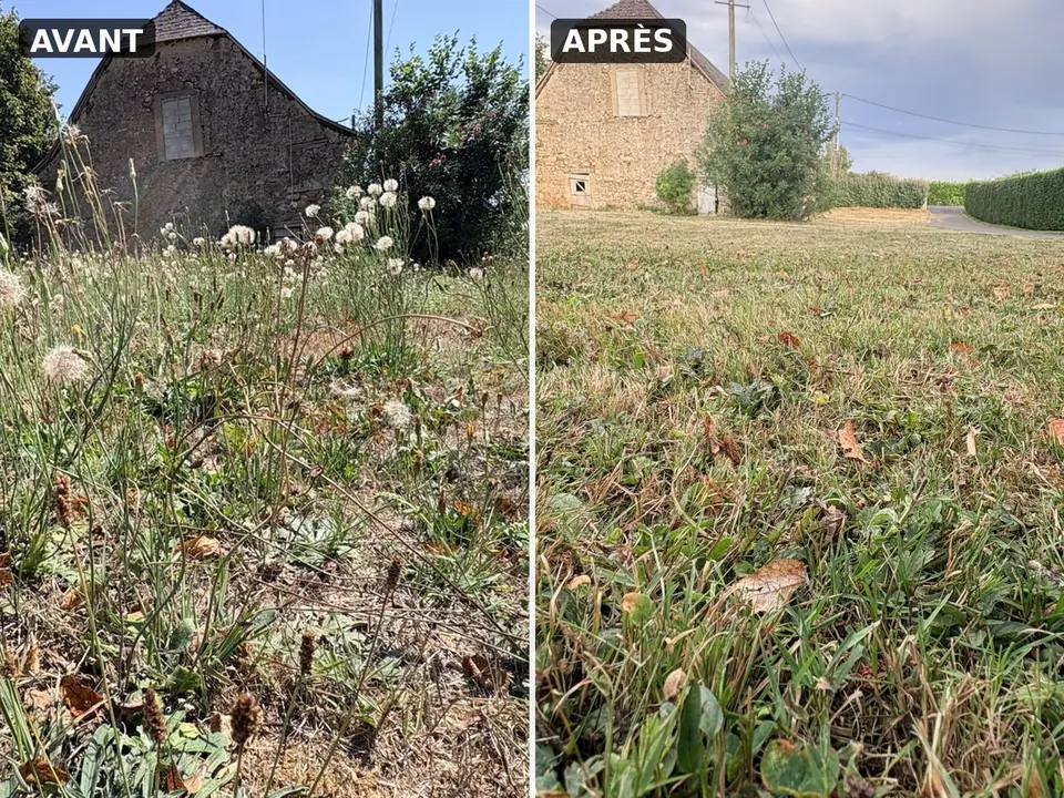 Débroussaillage et remise au propre d’un extérieur par VIDAL Jardins