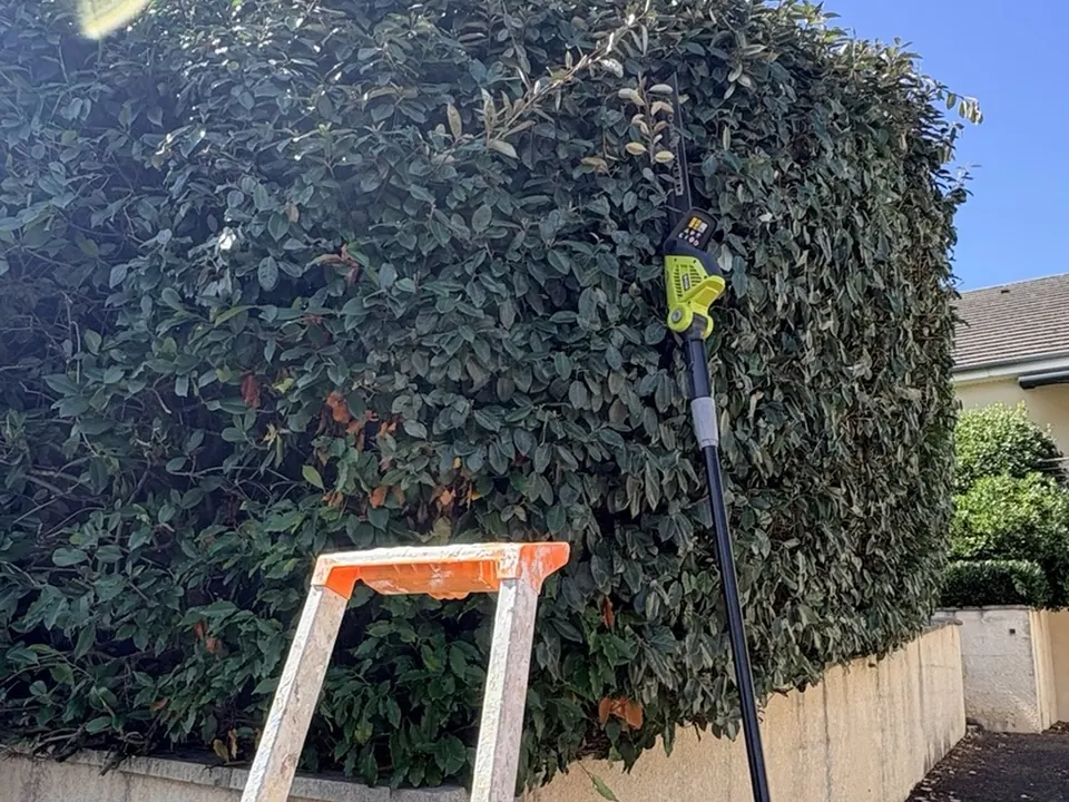 Haie entretenue par VIDAL Jardins
